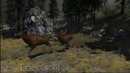 Cabela’s Dangerous Hunts 2012 – дебютный трейлер