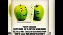 Cuba MKR E Brat Premyera