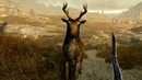 Inda game – Skyrim – Редкие заклинания и их секреты