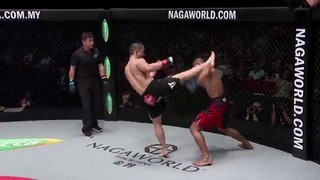 ONE Championship Reddit MMA Contest – KO-TKO Compilation footage