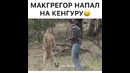 Макгрегор напал на кенгуру