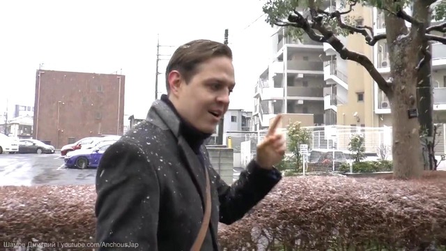 ЯПОНИЮ ЗАНЕСЛО. Японцы оказались не готовы к сильному снегопаду в Токио
