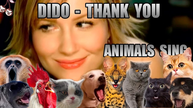 Dido – Thank You (Animal Cover)