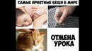 Лютые приколы. А голову дома не забыл я? Забыл! И чЁ