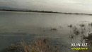 Воҳада баҳор. Кўраётганингиз Қашқадарё вилояти Яккабоғ тумани ҳудудида жойлашган Нўғайли сув омбори