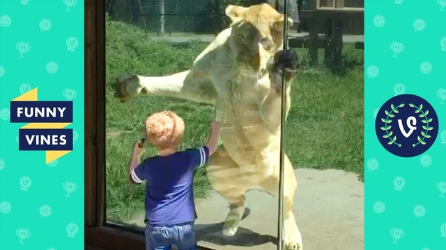 TRY NOT TO LAUGH – Cute Kids VS. Animals Fails Compilation. Funny Vines Videos