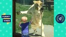 TRY NOT TO LAUGH – Cute Kids VS. Animals Fails Compilation. Funny Vines Videos