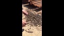 Хрупкая арматура