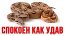 Как быстро успокоиться. как всегда быть спокойным