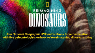 Reimagining Dinosaurs | National Geographic