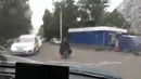 Снежный человек жив, ФАКТ