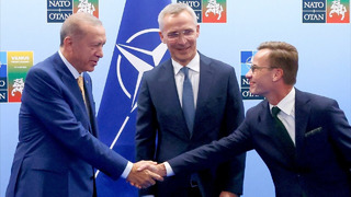 Тайип Эрдоган согласился поддержать заявку Швеции на вступление в НАТО