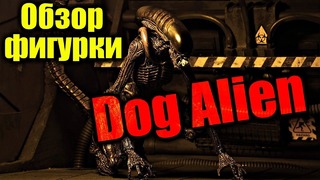 Обзор фигурки – Dog Alien (Чужой собака, скаут, раннер) (NECA)