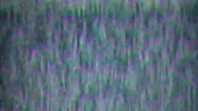 Best coub #12 июль 2019 лучшие приколы 2019 смешные животные и другие приколы