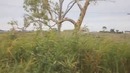 Кругосветка Soundaround. Серия 8. Австралия. Часть 2
