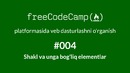 FCC#004 – Shakl va unga bog’liq elementlar | Mayoq