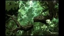 Vampire Hunter D Bloodlust Part 5
