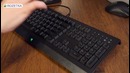 Razer Cynosa Pro: бюджетный геймерский набор