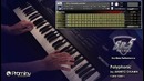 Prominy SR5 Rock Bass demo – Polyphonic