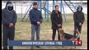 Будни кинологической службы ГУВД Ташкента