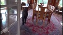 Медведь Пытается украсть еду