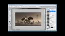 PhotoshopLes – Dream Scene Montage (eng)