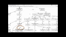 Golang Tested App 08.03