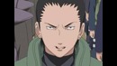 Naruto Shippuuden (Shikamaro)