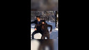Jokeasses – гопстоп #vines #вайны #shorts