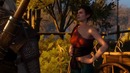 The Witcher История мира Ведьмак – Старшие расы