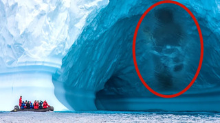 14 Находок в Антарктиде, которые поразили исследователеи