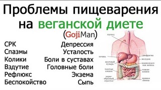 Проблемы с пищеварением на веганской диете – GojiMan