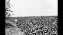 Из Стамбула в Ташкент: Фотопленки Поля Надара (1890). Часть 8. Фараб и Каракуль
