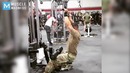 ARMY MONSTER – Super Soldier Diamond Ott / Muscle Madness
