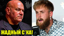 Джейк Пол НАЕХАЛ на Дану Уайта! НГАННУ ОТВЕТИЛ! КОНОР VS ХОЛЛОУЭЙ