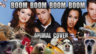 Vengaboys – Boom, Boom, Boom, Boom! (Animal Cover)