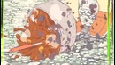 Nichijou AMV • Hard-Knock Life