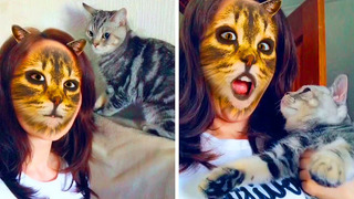Почему кошки боятся кошачьих фильтров (им кажется, что вы кот)