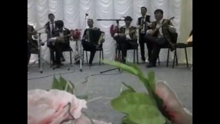 Оркестр, казахский национальный инструмент домбра