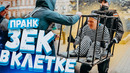ЗЕК В КЛЕТКЕ ПРАНК / Реакция на заключенного в клетке / Вджобыватели не подстава