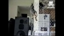 Побег песика из клетки
