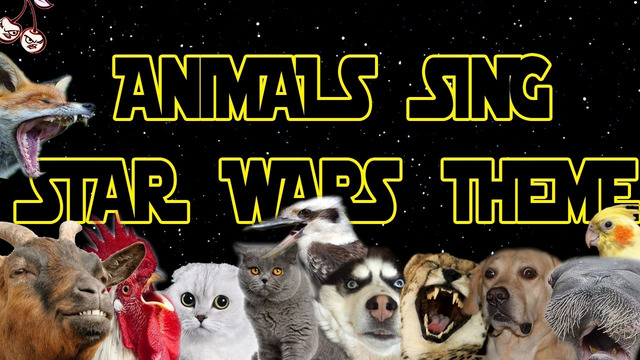 Star Wars but it sounds like animals