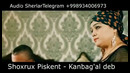 7bShoxrux Piskent – Kanbag’al bola