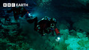 Cave Divers Explore Cenotes of the Yucatán | Wild Mexico | BBC Earth