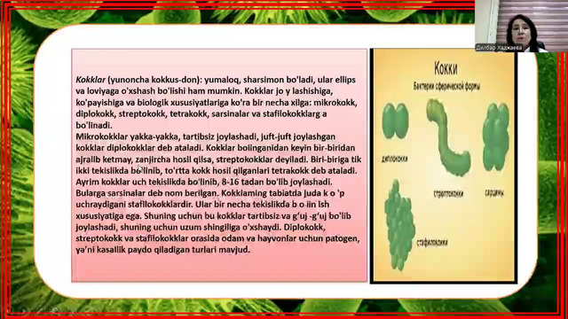 1. Хаджаева Д.Х Kirish. Mikrobiologiya fani haqida tushuncha