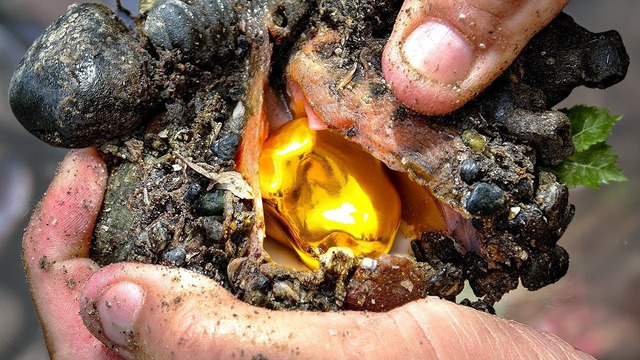 Самые Удивительные Находки