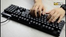 HyperX Alloy FPS — сравнение механических клавиш