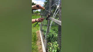 Man Saves Trapped Bird From Fence | People Are Awesome #shorts