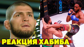 Реакция Хабиба на разгром в Bellator/Патрисио Фрейре-Эй Джэй Макки/Обзор турнира UFC