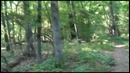 Мраморные Шершни(Запись №40)